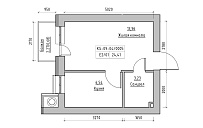 Планировка 1-к квартира площей 24.41м2, KS-009-04/0005.